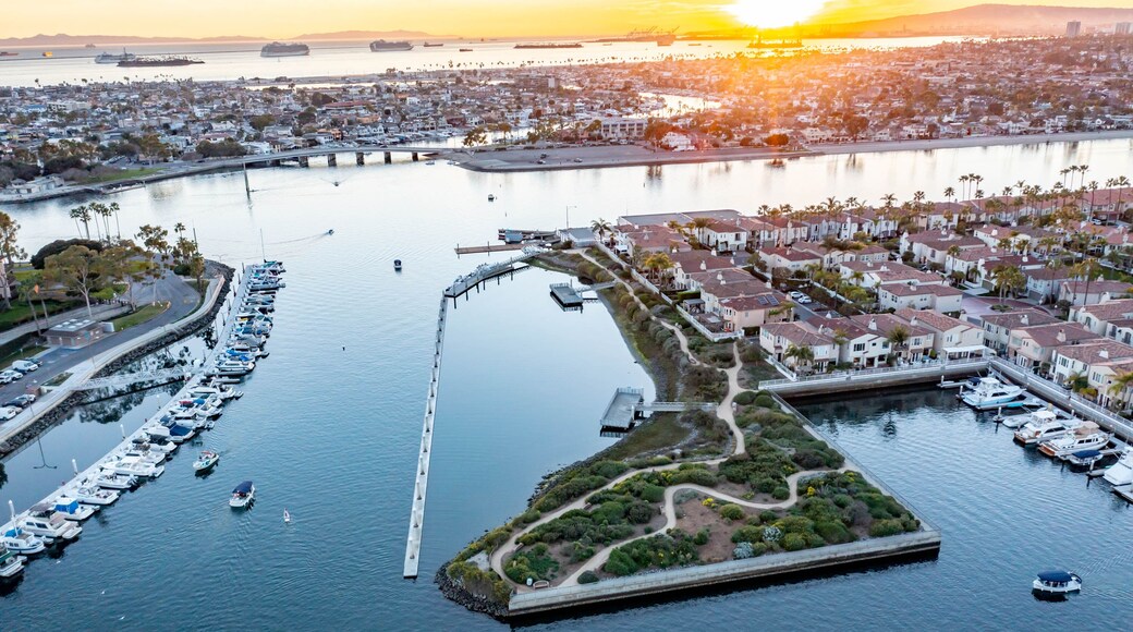 Los Alamitos Bay from above