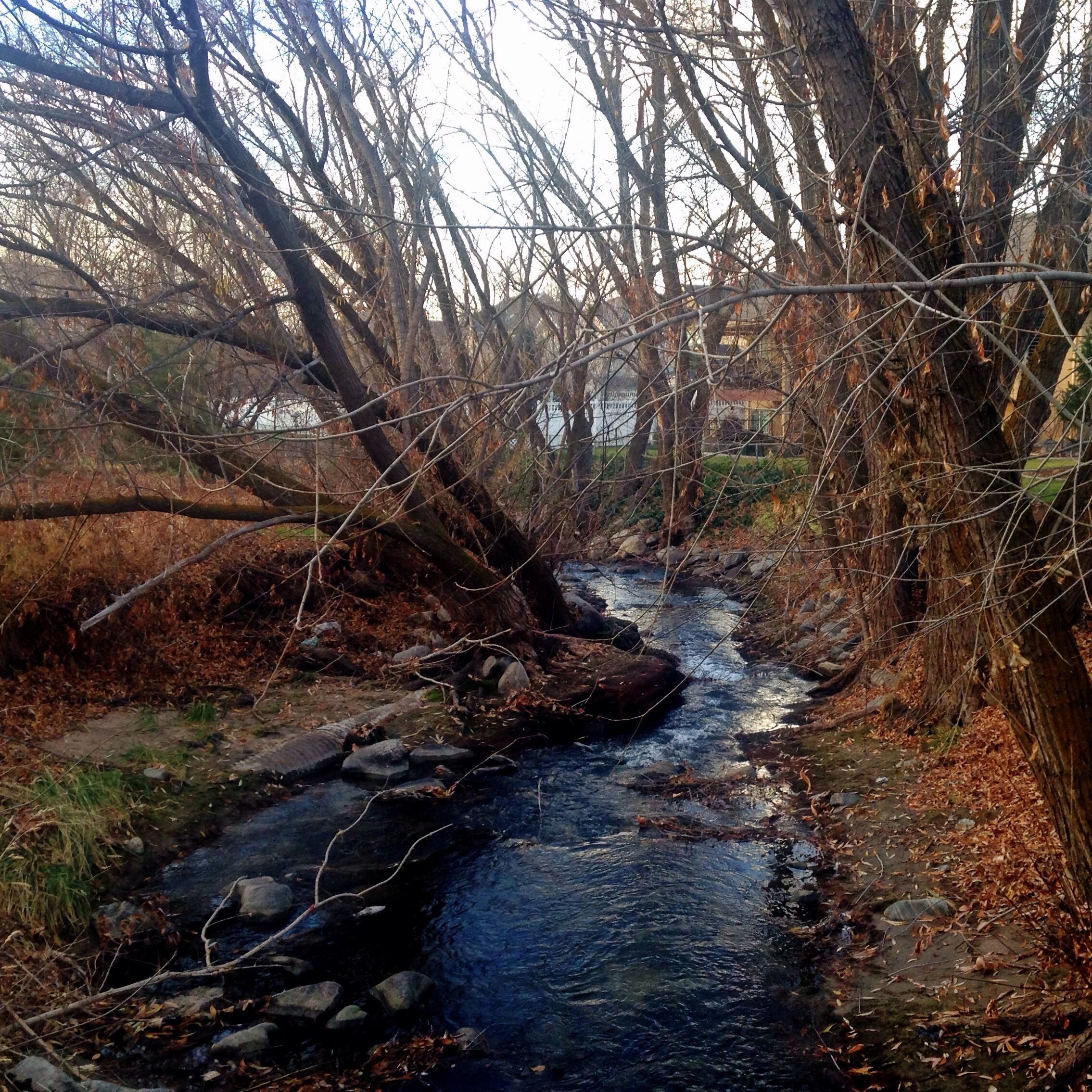Kay's creek parkway is short and sweet. It's really pretty to walk. The #creek itself begins in three several canyons, adjoining before Layton Park and making its way into the #greatsaltlake. 