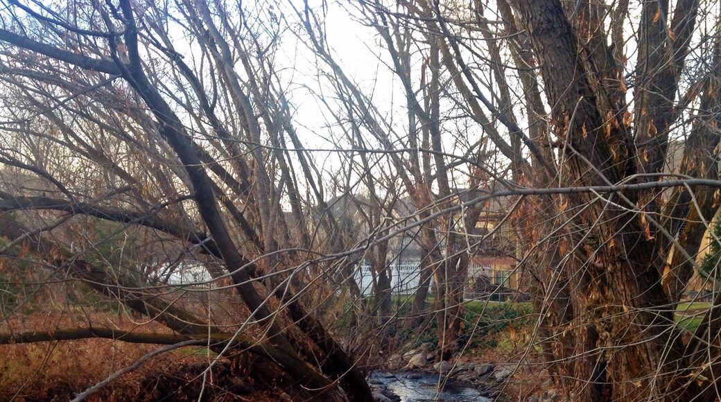 Kay's creek parkway is short and sweet. It's really pretty to walk. The #creek itself begins in three several canyons, adjoining before Layton Park and making its way into the #greatsaltlake.