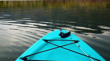 Andy Adams #Reservoir is a great little lake close to home.