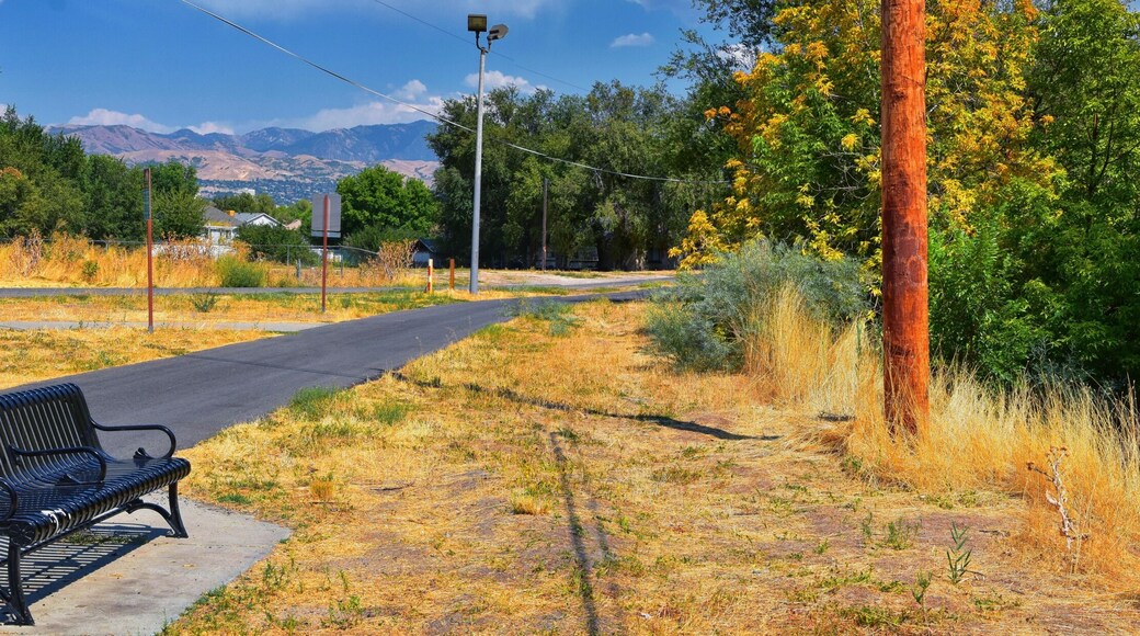 Views of Jordan River Trail with surrounding trees, Russian Olive, cottonwood and silt filled muddy water along the Wasatch Front Rocky Mountains, in Salt Lake City, Utah.