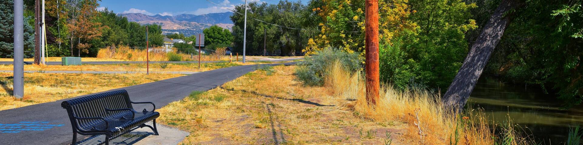 Views of Jordan River Trail with surrounding trees, Russian Olive, cottonwood and silt filled muddy water along the Wasatch Front Rocky Mountains, in Salt Lake City, Utah.