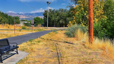 Views of Jordan River Trail with surrounding trees, Russian Olive, cottonwood and silt filled muddy water along the Wasatch Front Rocky Mountains, in Salt Lake City, Utah.