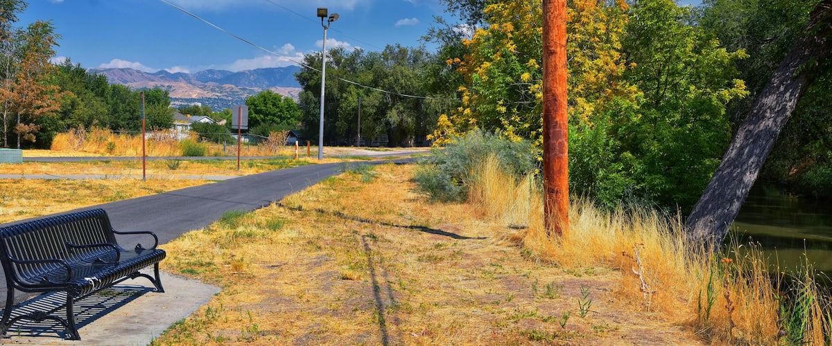 Views of Jordan River Trail with surrounding trees, Russian Olive, cottonwood and silt filled muddy water along the Wasatch Front Rocky Mountains, in Salt Lake City, Utah.