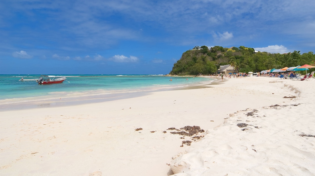 Long bay Atlantic coast - Caribbean tropical sea - Antigua and Barbuda