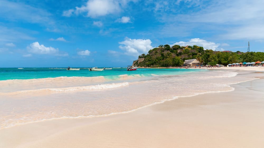 Long bay Atlantic coast - Caribbean tropical sea - Antigua and Barbuda.