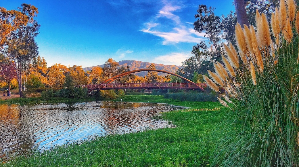 Beautiful park by Los Gatos Area and one my favorite spot to take my kids in the weekend. Ton of activities to do there like kayaking, paddle boats, fishing, bbq, kids playground, etc.