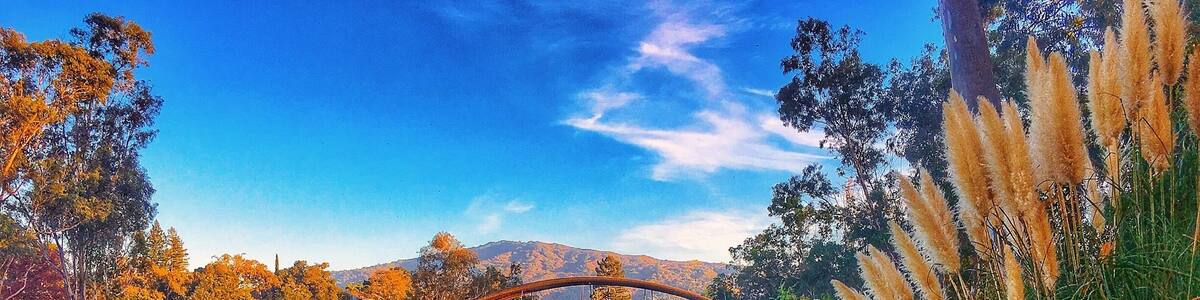 Beautiful park by Los Gatos Area and one my favorite spot to take my kids in the weekend. Ton of activities to do there like kayaking, paddle boats, fishing, bbq, kids playground, etc.