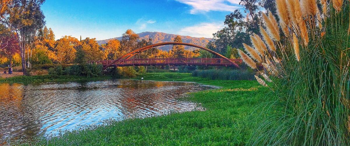 Beautiful park by Los Gatos Area and one my favorite spot to take my kids in the weekend. Ton of activities to do there like kayaking, paddle boats, fishing, bbq, kids playground, etc.