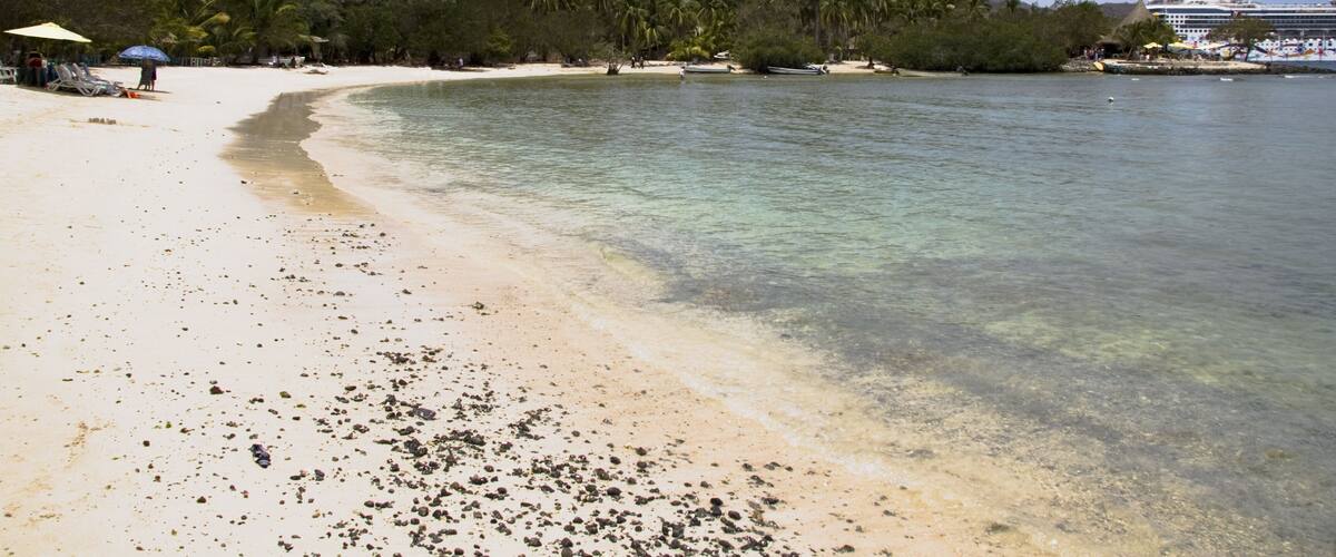 A beach with clear water, palm trees, and a cruise ship in the background.