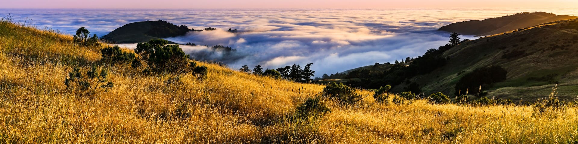 Panoramic view at sunset of valley covered in a sea of clouds in the Santa Cruz mountains, San Francisco bay area, California