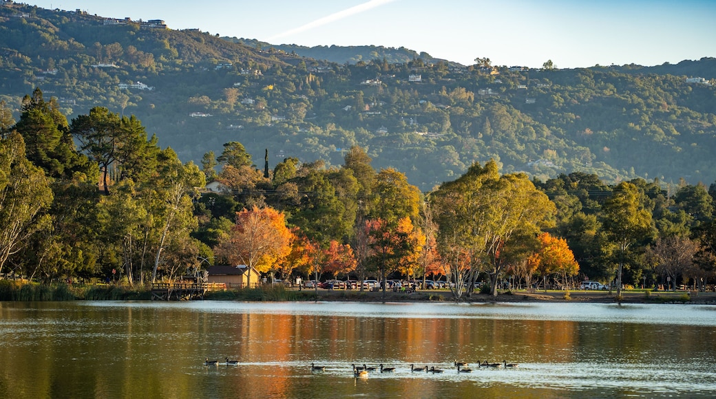 Autumn View of Vasona Lake Park Los Gatos, California