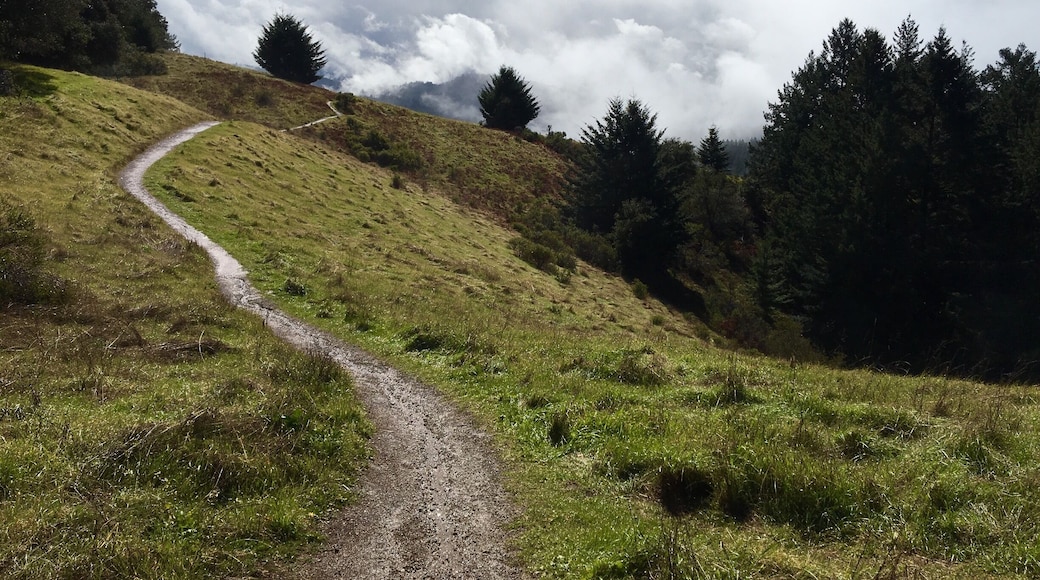 Castle Rock State Park. Just minutes after the rain stopped. I stopped here on a whim en route to a different state park. This parking lot has a vista point with a few trail heads and I was inclined to take a prehike hike. I walked for a little bit to check out the amazing views of the canyon and I will surely be back for a longer hike.
#HikingTheGlobe
#CAStateParks
#Green
#SpringFun