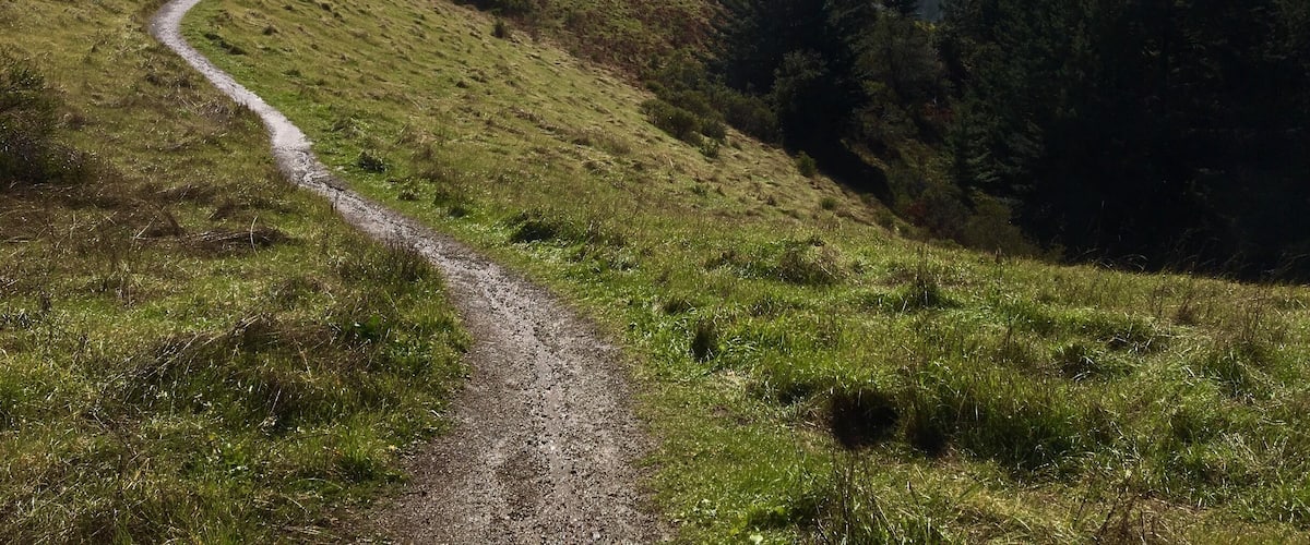 Castle Rock State Park. Just minutes after the rain stopped. I stopped here on a whim en route to a different state park. This parking lot has a vista point with a few trail heads and I was inclined to take a prehike hike. I walked for a little bit to check out the amazing views of the canyon and I will surely be back for a longer hike. 
#HikingTheGlobe
#CAStateParks
#Green
#SpringFun