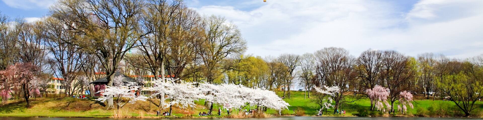 The Cherry Blossom Festival in New Jersey