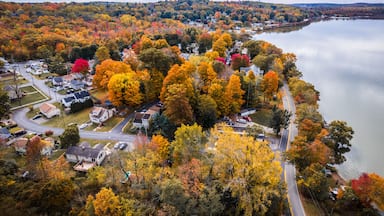 A lakeside residential area with autumn foliage, a winding road, and a distant bridge.