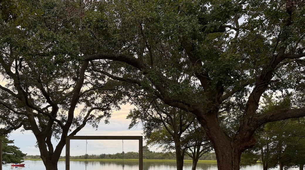 SC LR Bench Swing with View 2026