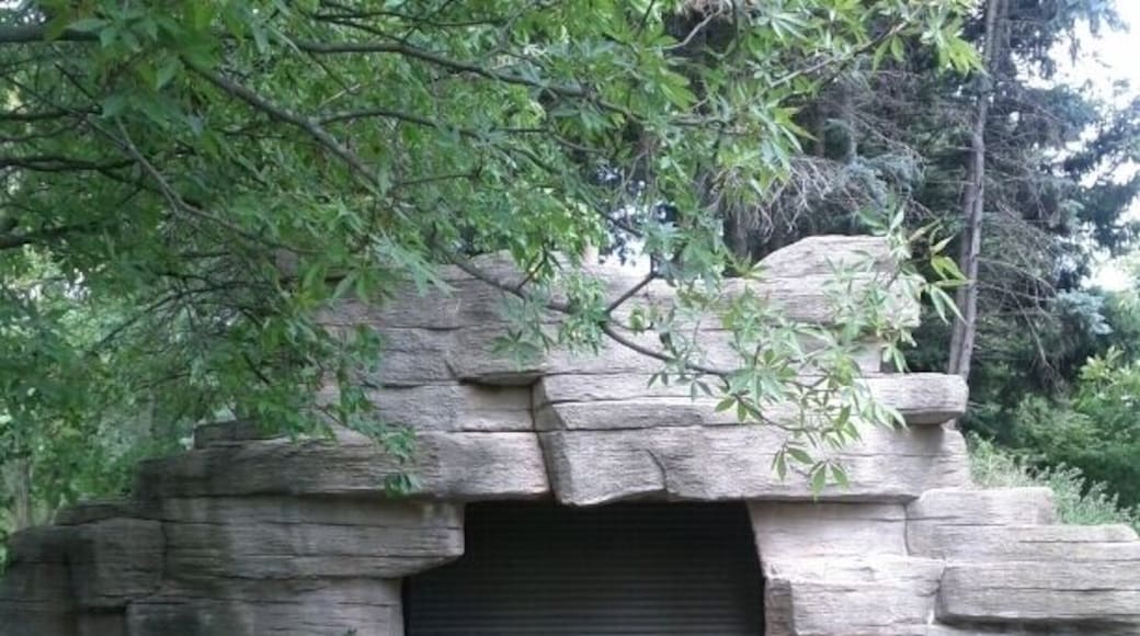 An abandoned kiddie railroad tunnel and tracks behind Par King Skill Golf.