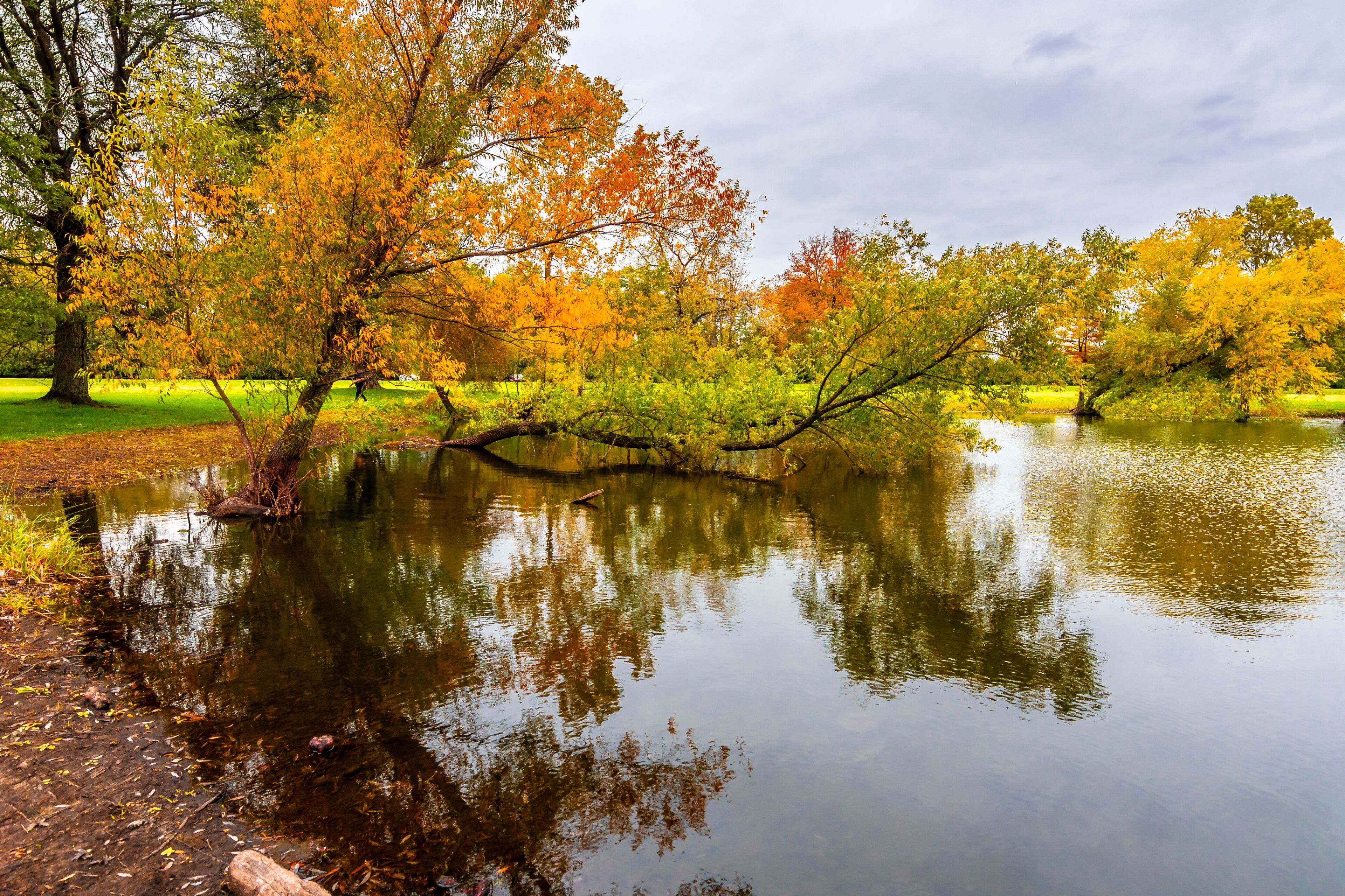 Schiller Woods view in Chicago of Illinois