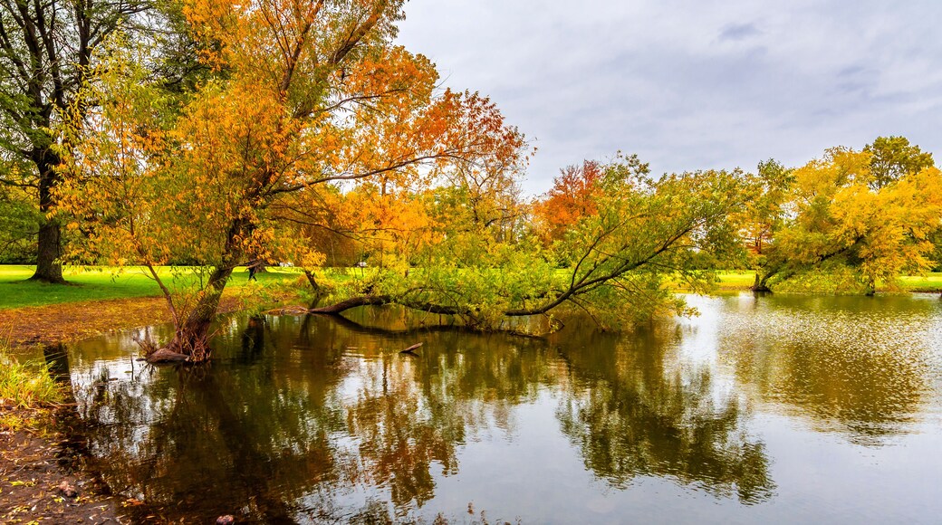 Schiller Woods view in Chicago of Illinois