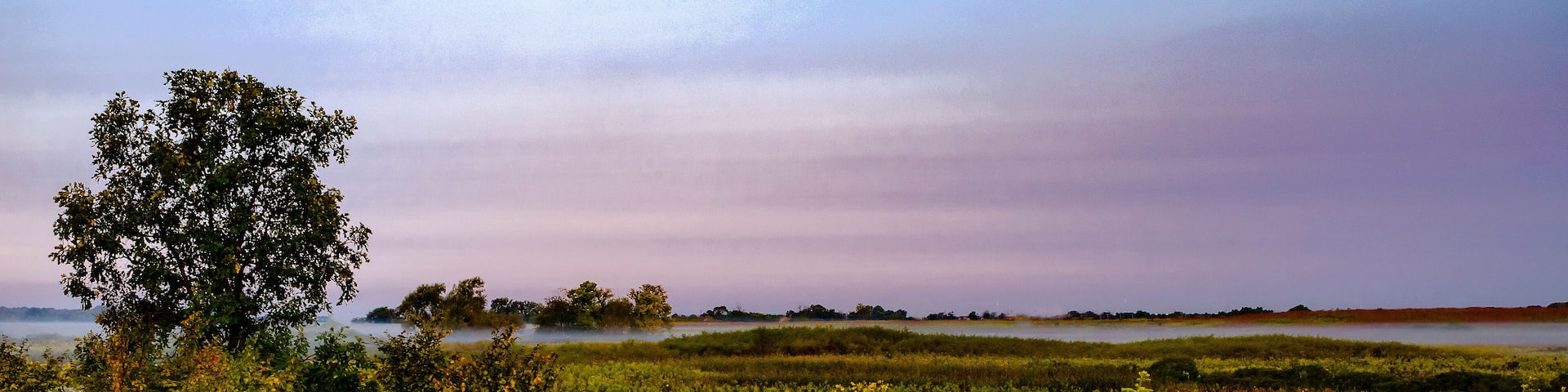627-90 Boneset & Goldenrod Dawn