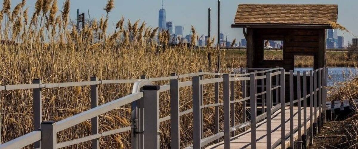 Nice environmental trails with great views of Manhattan