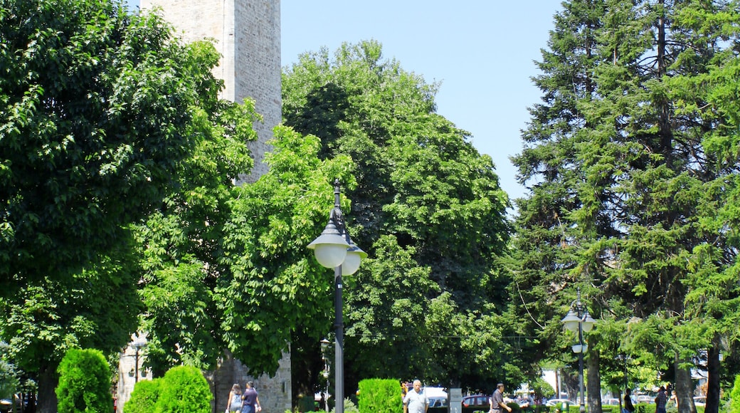 The Clock Tower and Park