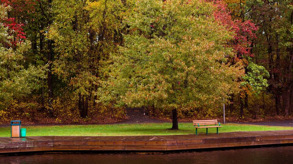 A park with a wooden bench, a trash bin, and a calm water body.