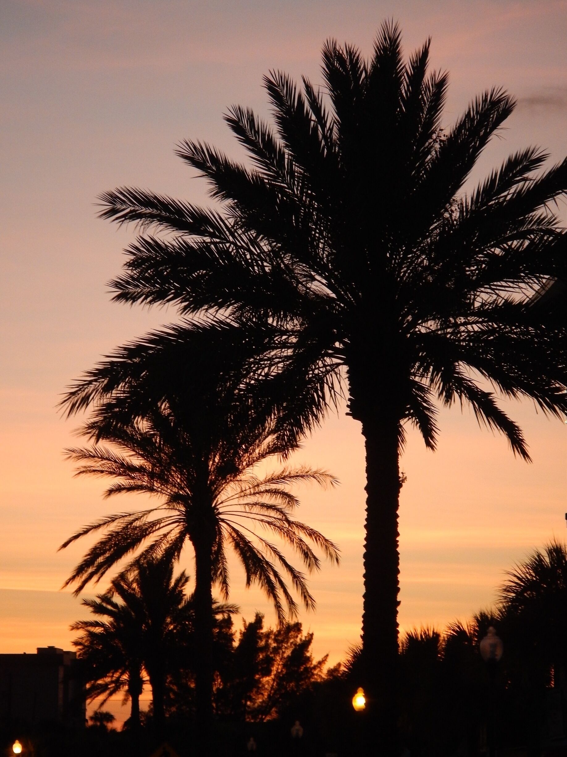 The day ends as the shopping begins.