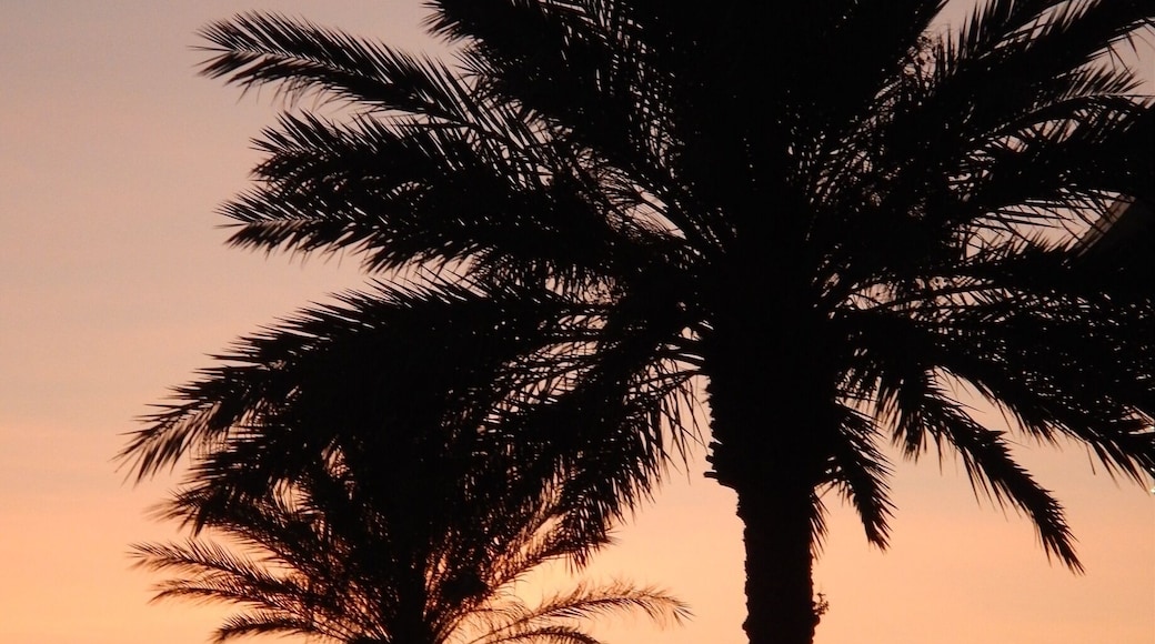 The day ends as the shopping begins.