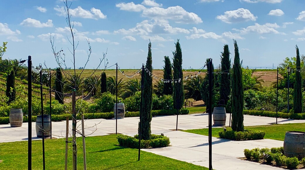 This place is a hidden gem! Live music on the patio on the weekends, good wine, friendly helpful staff....beautiful view.