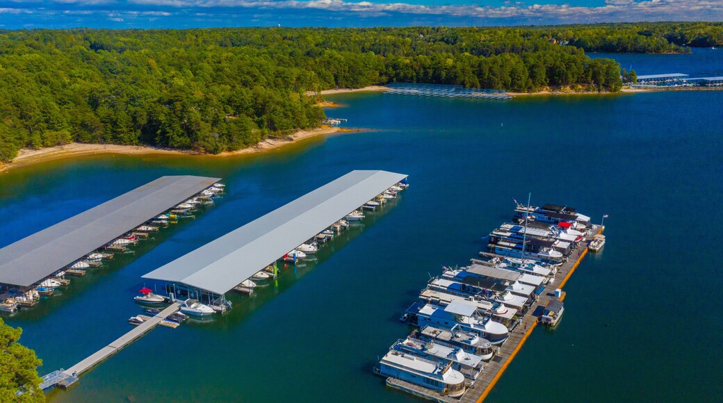 บูฟอร์ด