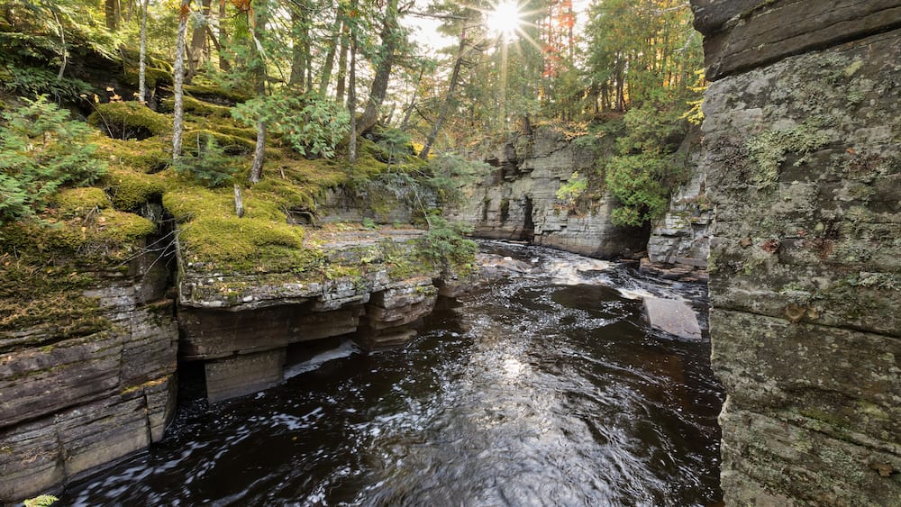 A forested river canyon with moss-covered rocks and sunlight filtering through the trees.