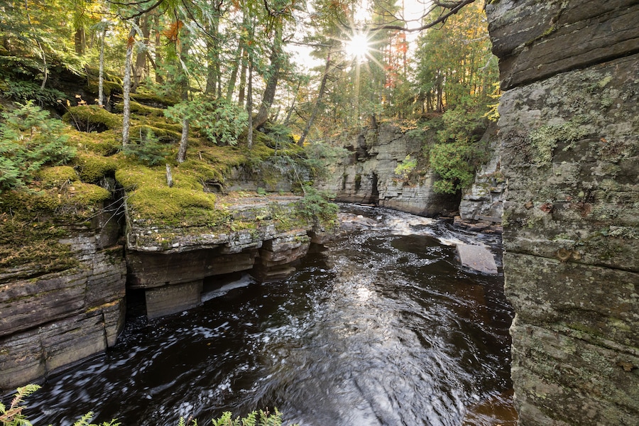 A forested river canyon with moss-covered rocks and sunlight filtering through the trees.