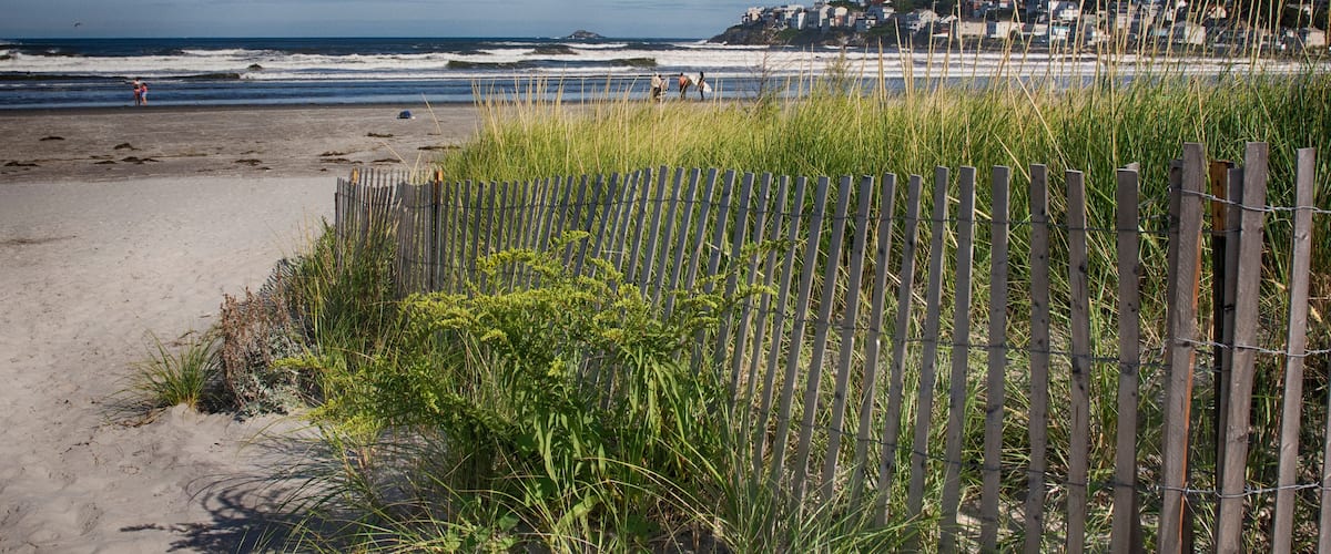 A beach with a wooden fence, tall grasses, and a distant town by the ocean.
