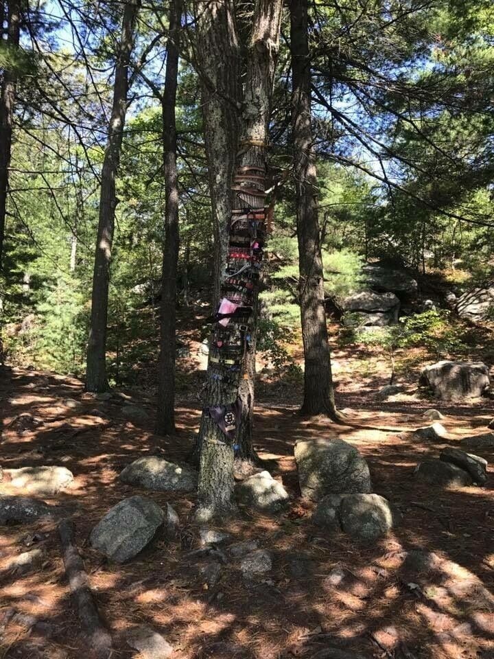 An almost- hidden dog memorial.