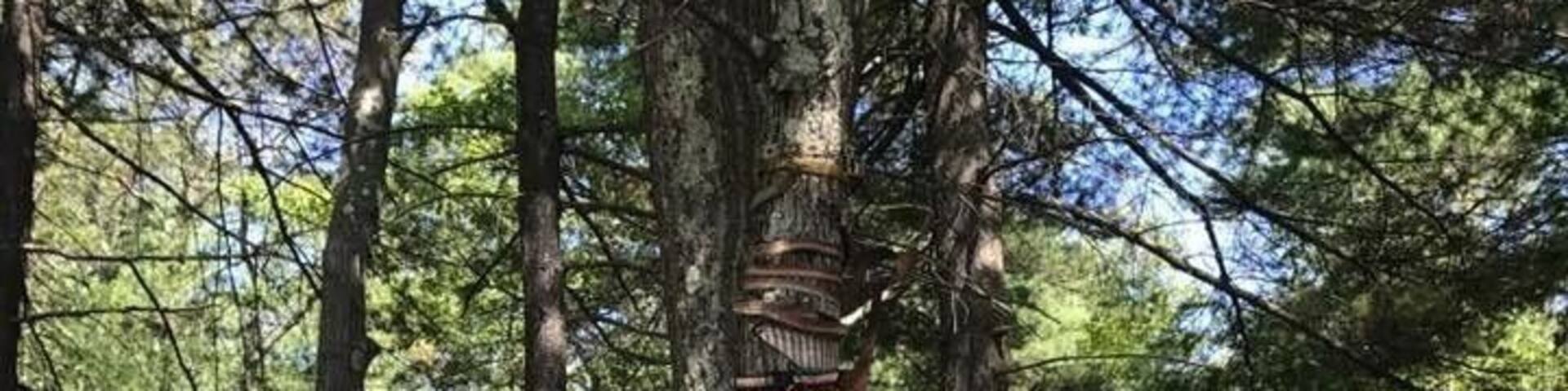 An almost- hidden dog memorial.