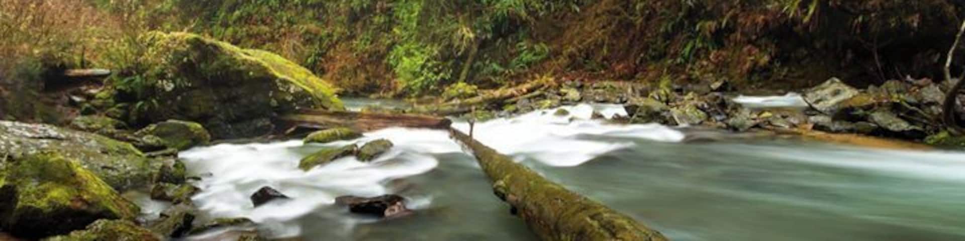 Drift Creek Falls, Siuslaw National Forest. What a pretty hike, it was so green and full of moss on the ground and hanging from the trees. The water was so green and this waterfall was throwing a lot of spray. Great 3 mile RT hike.