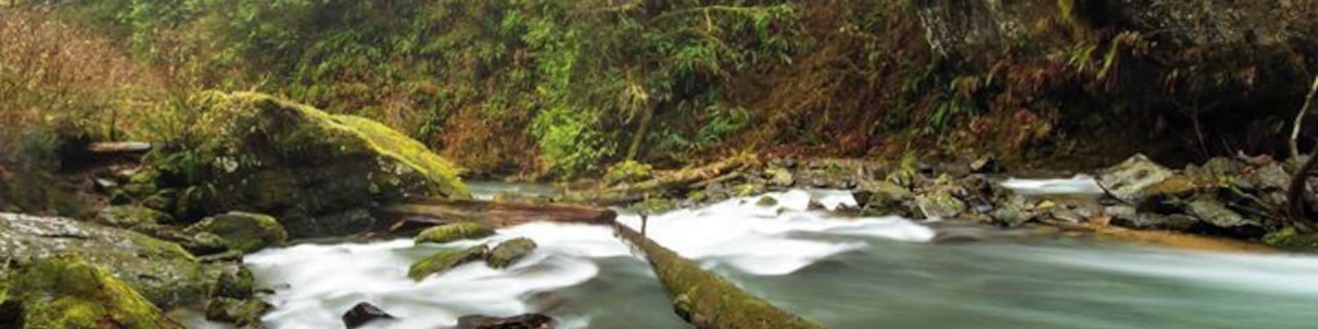 Drift Creek Falls, Siuslaw National Forest. What a pretty hike, it was so green and full of moss on the ground and hanging from the trees. The water was so green and this waterfall was throwing a lot of spray. Great 3 mile RT hike.