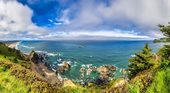 Lincoln City from God's Thumb 1