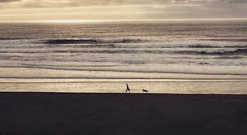 Lincoln City, Oregon, along Highway 101 has seven miles of beachfront to explore. A stay at Sailor Jackâs Oceanfront Inn rewards tired road trippers like myself a chance to kick back on the patio and take in the view.
#roadtrip #adventure #pch