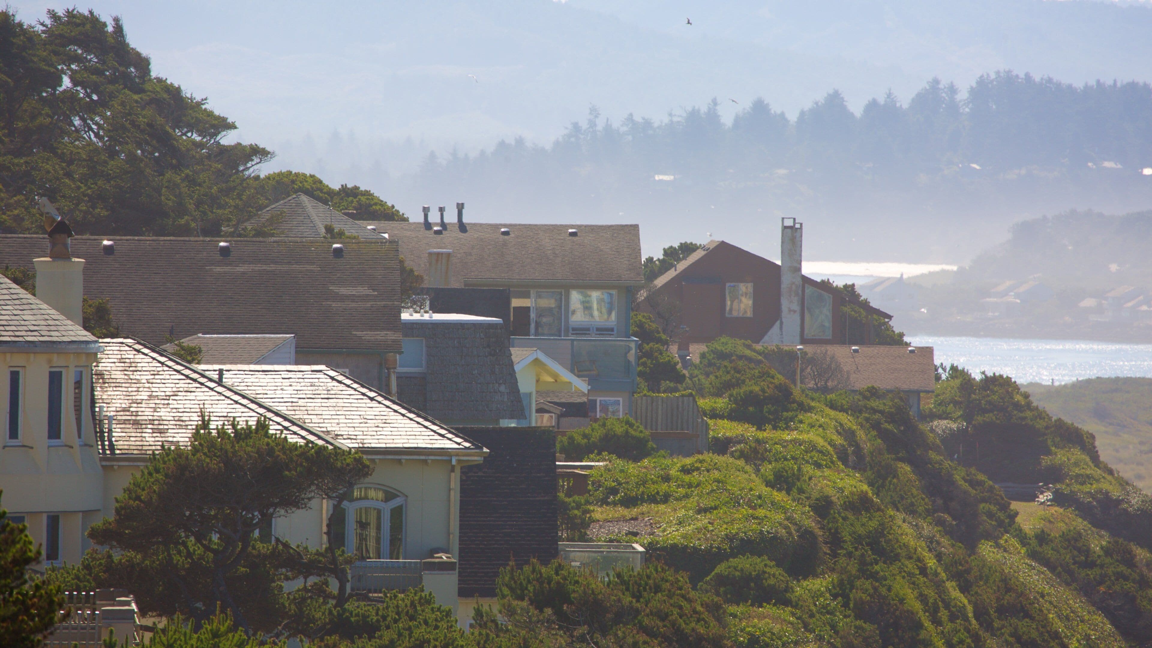 Lincoln City que incluye una pequeña ciudad o pueblo y neblina o niebla