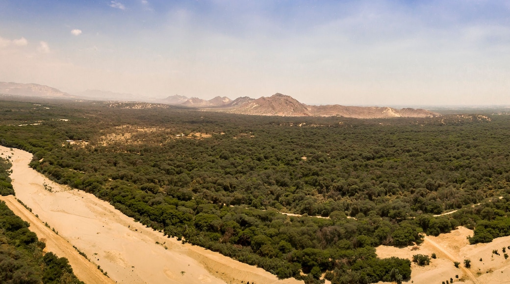 Tucume, Lambayeque, North of Peru