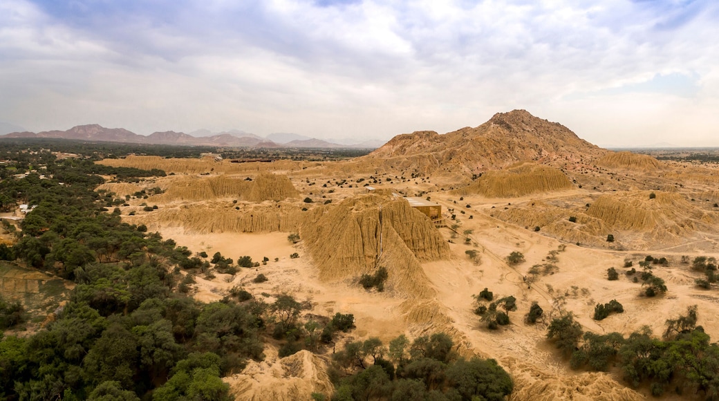 Tucume, Lambayeque, North of Peru