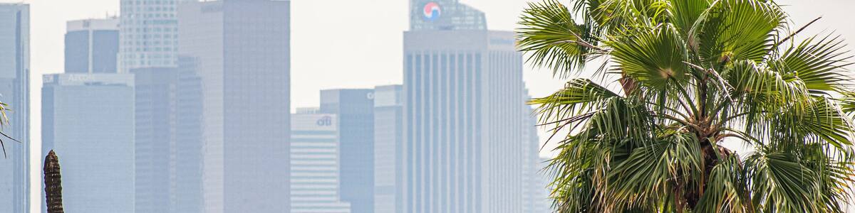 View of Los Angeles, CA with palm trees and moody sky