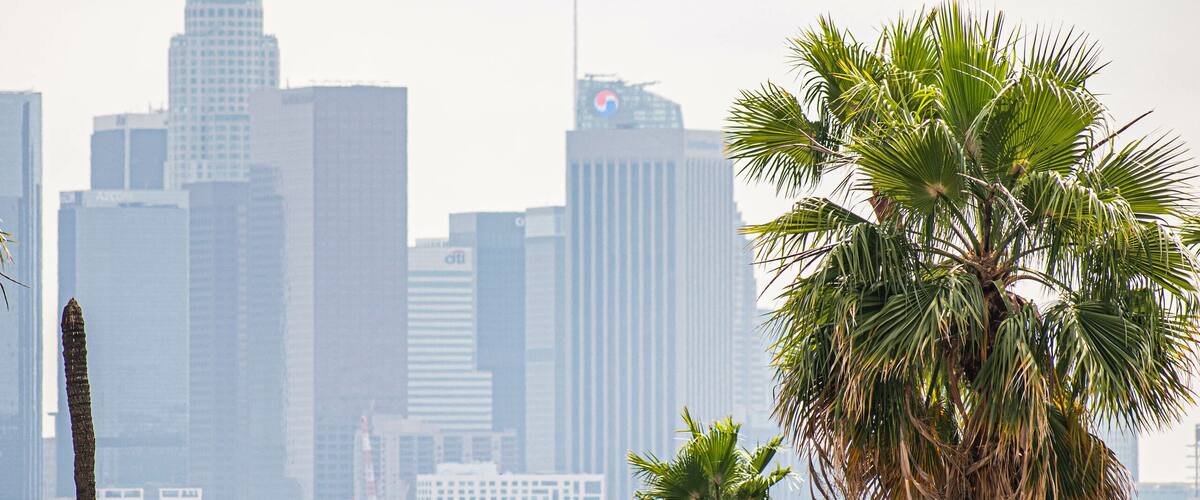 View of Los Angeles, CA with palm trees and moody sky