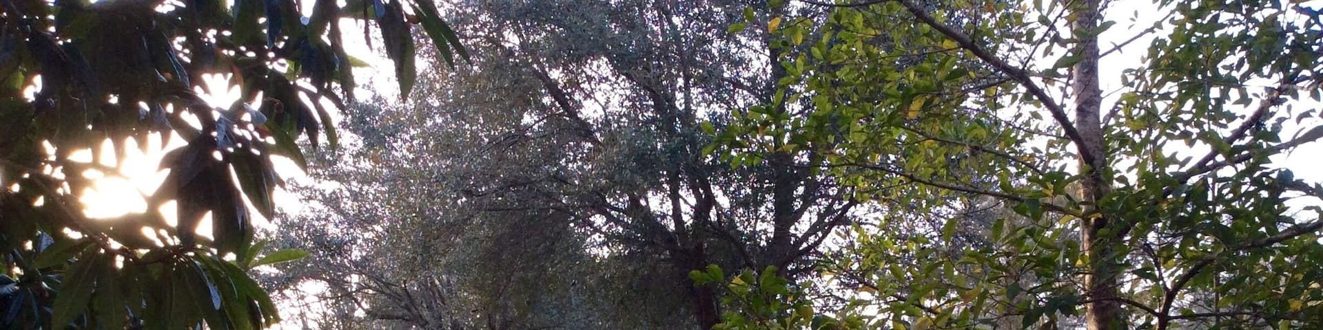 During a recent visit to Florida, I found this quaint little heritage village. It was a stroll down memory lane in many respects. It's amazing how many such places are just off the beaten path, waiting for someone to stop and pay a visit.