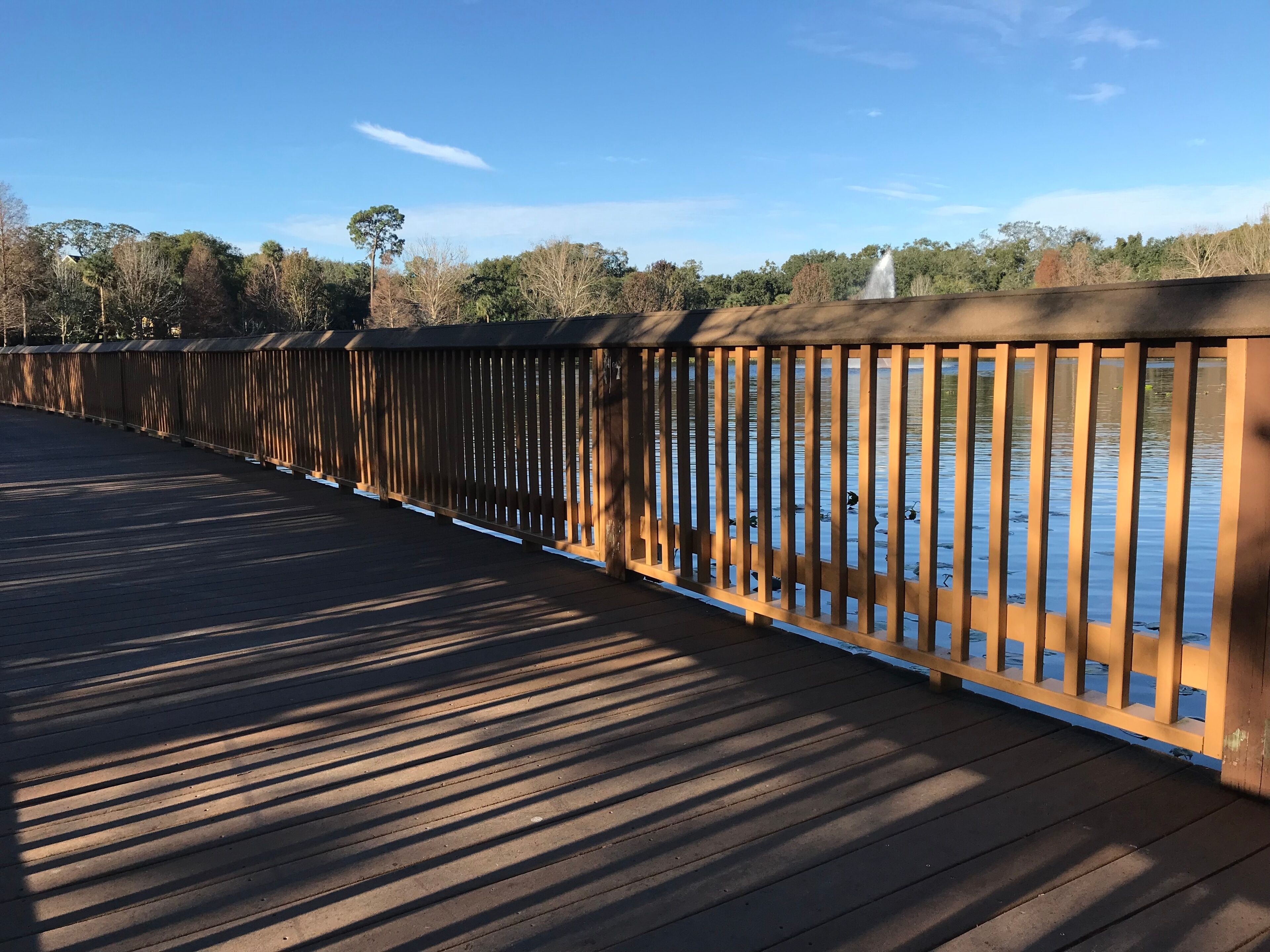 Lake Lily Boardwalk in Maitland, Orlando. Photo image