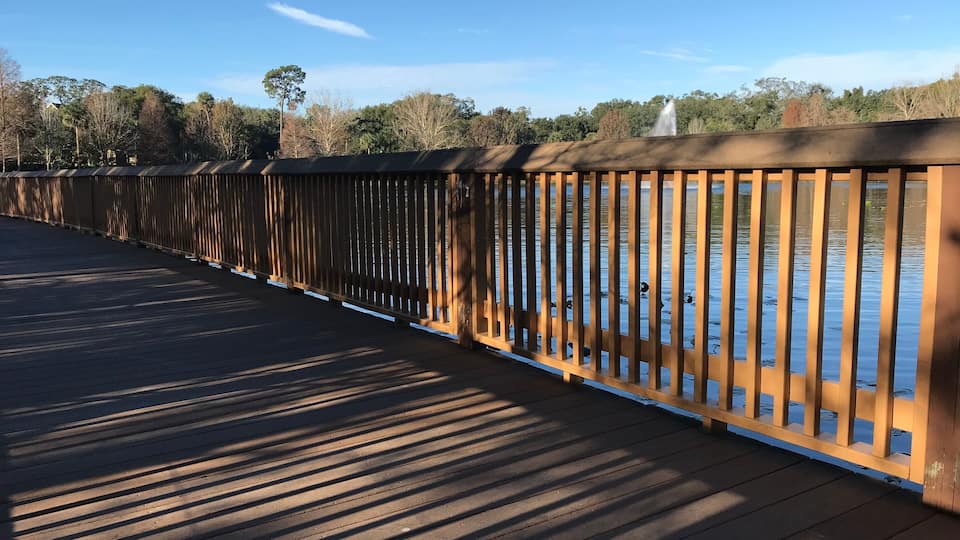 Lake Lily Boardwalk in Maitland, Orlando. Photo image