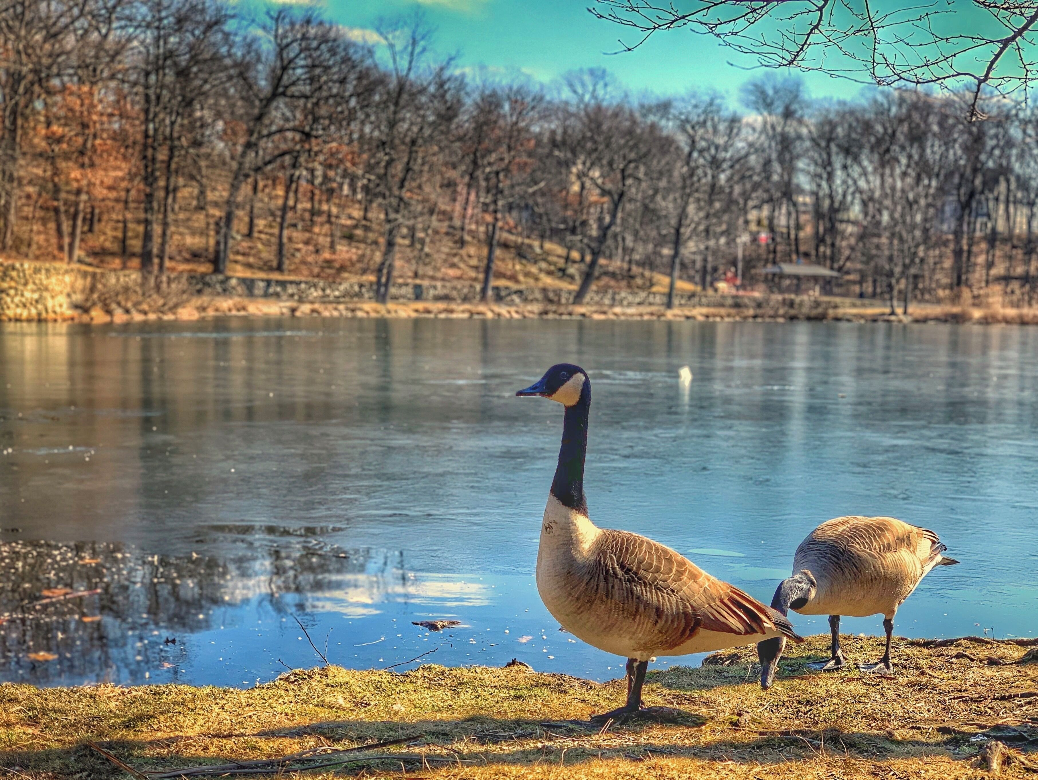 Something’s in its mind.... I guess